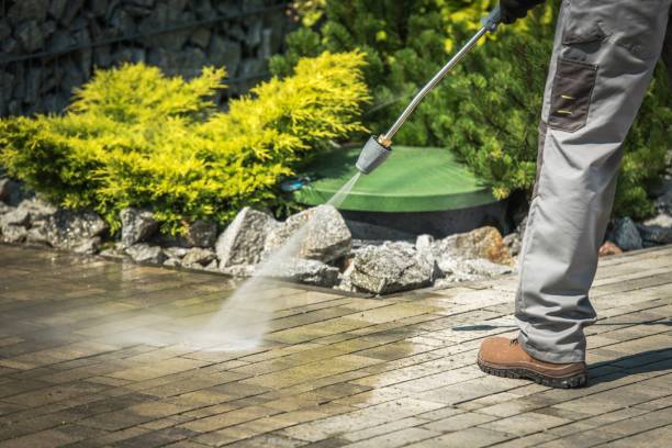 Professional  Pressure Washing Services in Milton, LA